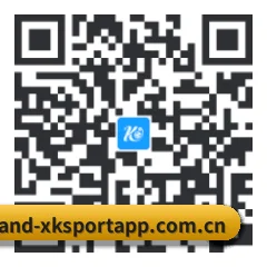 安卓掌上数据终端 二维码